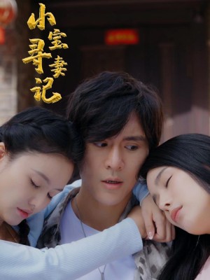 Cuộc Tìm Vợ Của Tiểu Bảo - 小宝寻妻记 (2025)